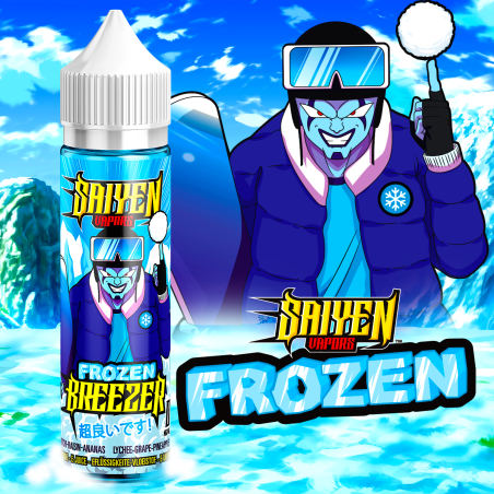 Frozen Breezer 50 ml - Swoke pas cher