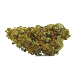 Kamal Hoya - Flora Fleurs de CBD pas cher