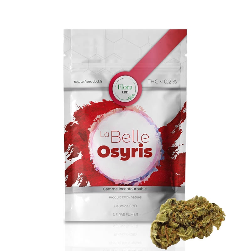La Belle Osyris - Flora pas cher