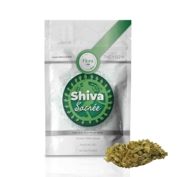Shiva Sacrée - Flora Fleurs de CBD pas cher