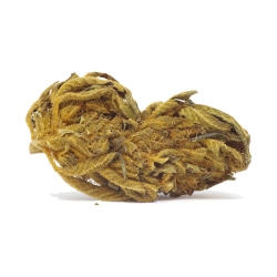 Malva - Flora Notre sélection des meilleures fleurs de CBD pas chères pas cher