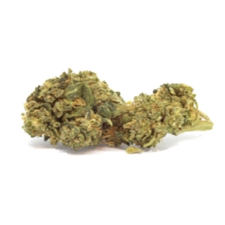 Pure Salazie - Flora Fleurs de CBD pas cher