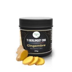 Ti Berlingot Gingembre - Flora Alimentaire CBD pas cher