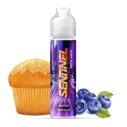 Sentinel 50 ml - The Fuu Cyber Steam pas cher