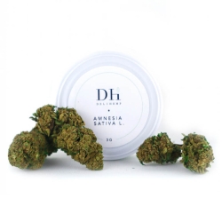 Amnesia Sativa L - Deli Hemp Fleurs de CBD pas cher