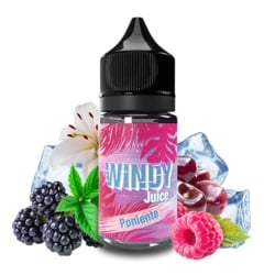 Concentré Poniente 30ml - E.tasty Windy Juice pas cher