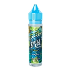 Circle Of Life Iced 50 ml - Twelve Monkeys pas cher