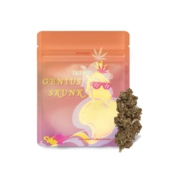 Genius Skunk - CakeSpace Notre sélection des meilleures fleurs de CBD pas chères pas cher