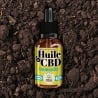 e-liquide Huile CBD Immunité Broad Spectrum 10 ml - Terre du Chanvre pas cher