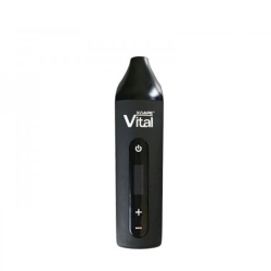 Vital - Vaporisateur Portable - XVape pas cher