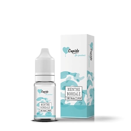 e-liquide Menthe Boréale 10 ml - Cupide pas cher