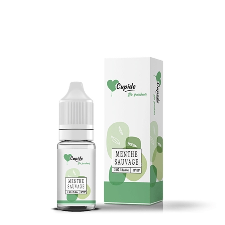 e-liquide Menthe Sauvage 10 ml - Cupide pas cher