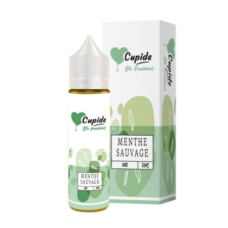 Menthe Sauvage 50 ml - Cupide pas cher