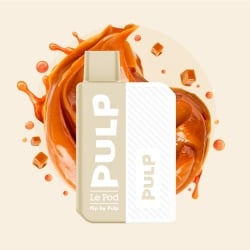 Kit Caramel Original 2 ml - Pod Flip Pulp pas cher
