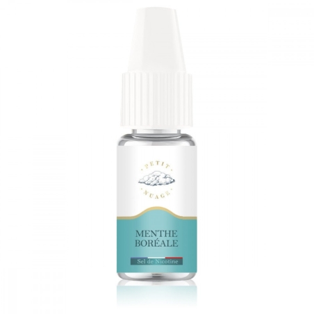 e-liquide Menthe Boréale Sel de Nicotine 10 ml - Petit Nuage pas cher