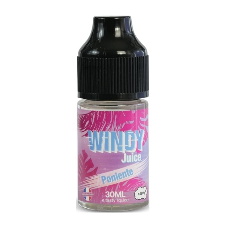 e-liquide Concentré Poniente 30 ml - E.tasty Windy Juice pas cher