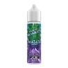 e-liquide Matata Iced 50 ml - Twelve Monkeys pas cher