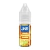 Strawberry Watermelon Ice Nic Salt 10 ml - JNR