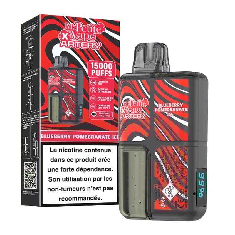 Puff Blueberry Pomegranate Ice - Ma Petite Vape X Artery pas cher