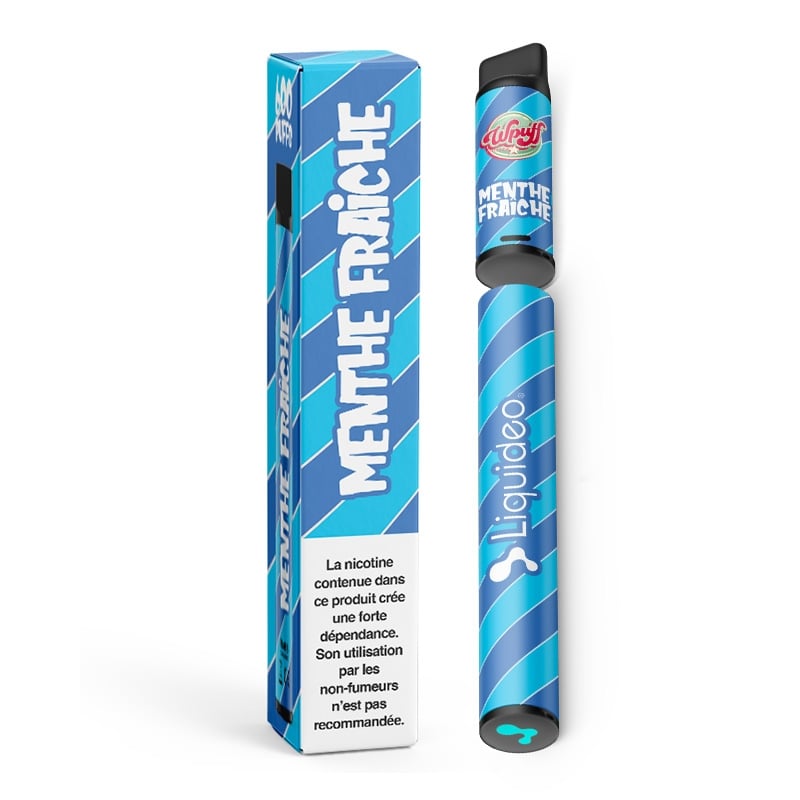 e-liquide Wpuff 600 1 Batterie + 1 Pod saveur Menthe Fraiche - Liquideo pas cher
