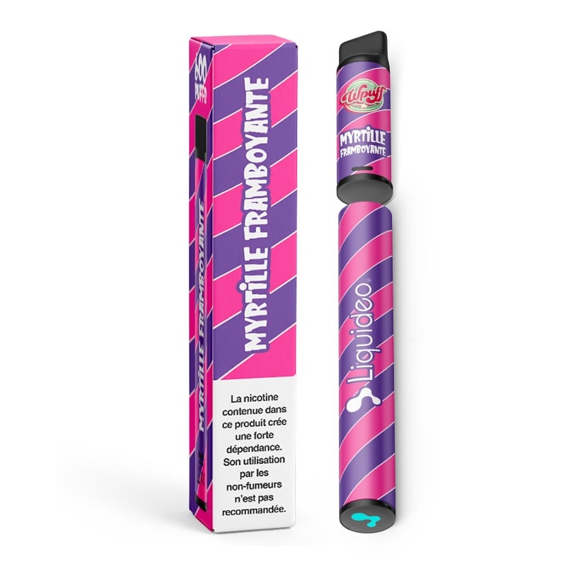 e-liquide Wpuff 600 1 Batterie + 1 Pod saveur Myrtille Framboyante - Liquideo pas cher
