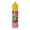 e-liquide Limonade Pastèque Fraise 50 ml - Vape Institut x Biarritz Lab pas cher