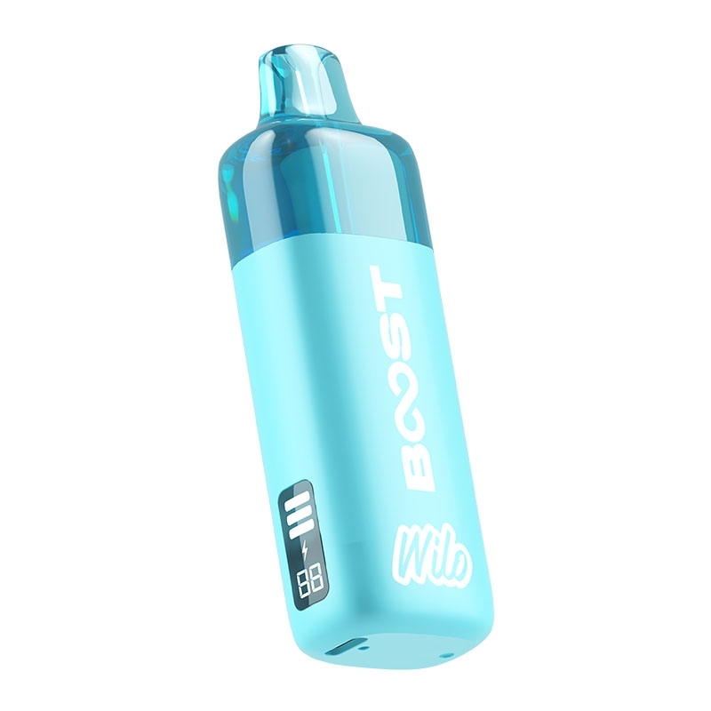 Starter Kit Wilo Boost Fresh Mint 12K - Wilo