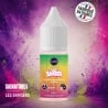 Fruit du Dragon Ananas Corossol 10 ml Les Bangers - Le Vapoteur Discount