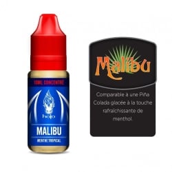 Concentré Malibu 10 ml - Halo pas cher