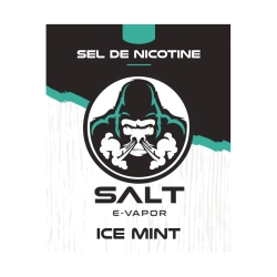 Ice Mint Sel de Nicotine - Le French Liquide pas cher