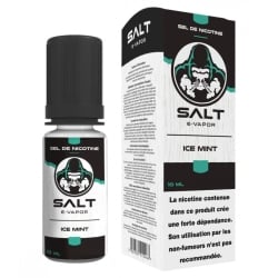 Ice Mint Sel de Nicotine 10 ml - Le French Liquide pas cher