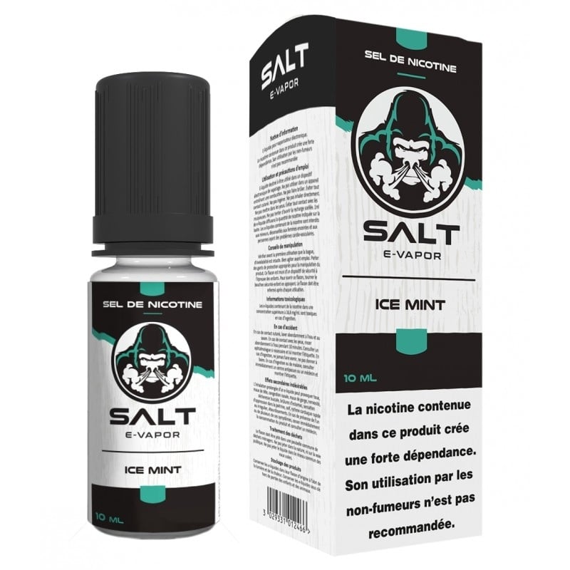 e-liquide Ice Mint Sel de Nicotine 10 ml - Le French Liquide pas cher
