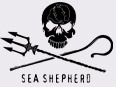 Logo Sea Shepherd