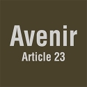Article 23