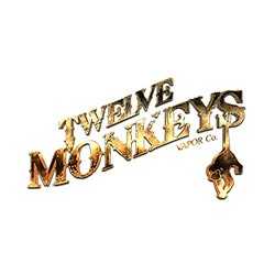 Twelve Monkeys pas cher