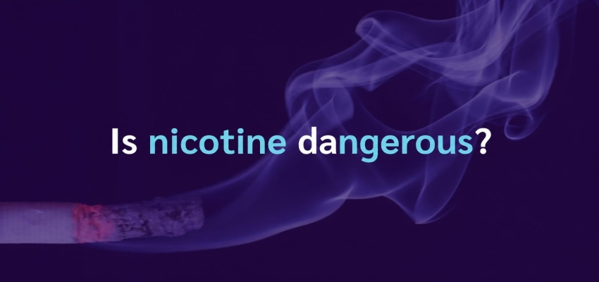 Is nicotine dangerous?