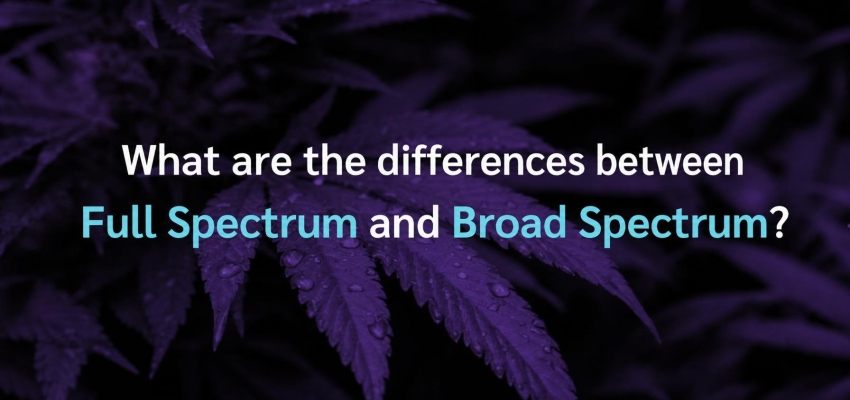 What are the differences between Full Spectrum and Broad Spectrum?