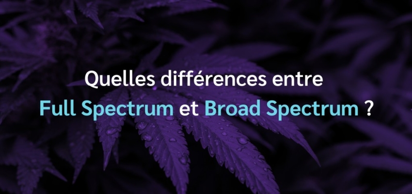 Quelles différences entre Full Spectrum et Broad Spectrum ?