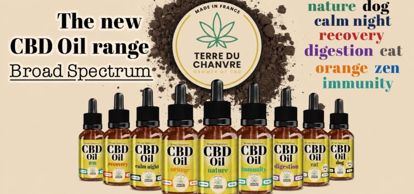 Our selection of the best cheap hemp products