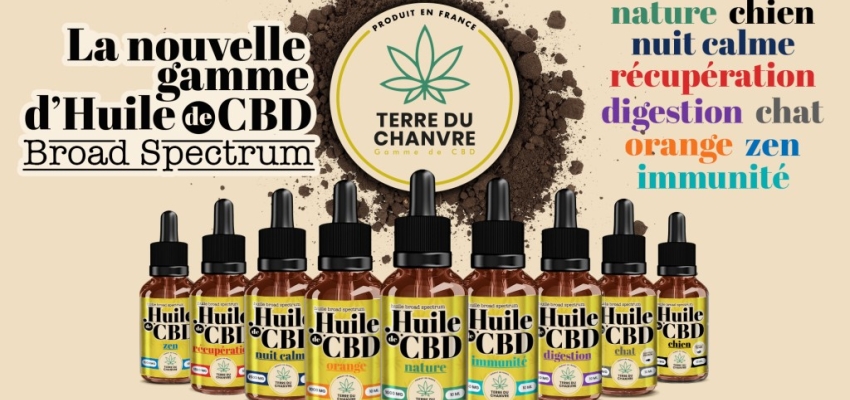 Notre sélection des meilleurs produits chanvre pas cher