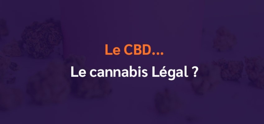 Le CBD : le cannabis légal ?